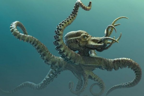 Kraken ссылка для тору