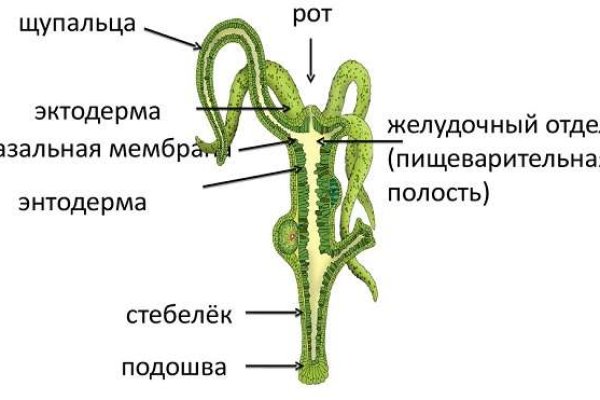 Кракен 17 at вход